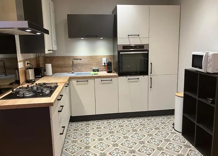 Quartier Chateau - Wifi - Garage Individuel A Cle - Electromenager Complet *