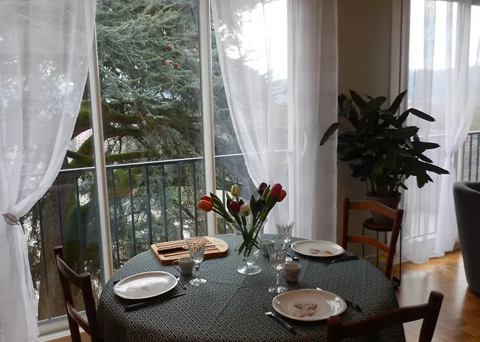 Quartier Chateau - Wifi - Garage Individuel A Cle - Electromenager Complet