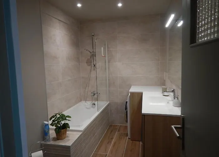 Quartier Chateau - Wifi - Garage Individuel A Cle - Electromenager Complet Pau